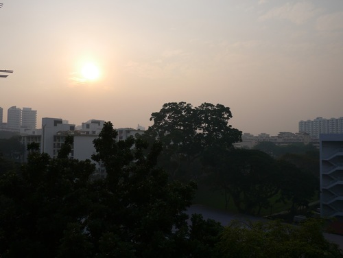 Good morning purée... (slightly underexposed)