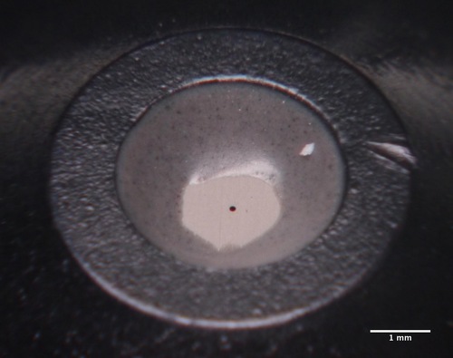 Pinhole and its membrane.