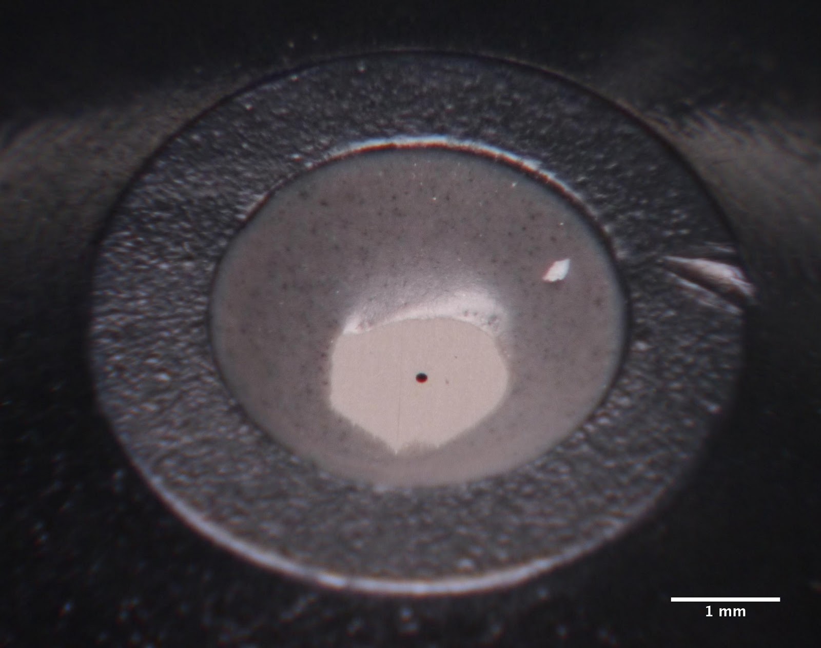 Pinhole and its membrane.